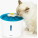 Cat Bowls & Cat Water Fountains