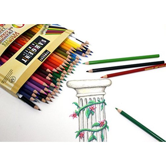 Sargent Art Premium Coloring Pencils, Pack of 50 Assorted Colors, 22-7251 YSTE-2721