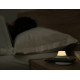 Xiaomi Yeelight Wireless Charger with LED Night Light YSTE-4066